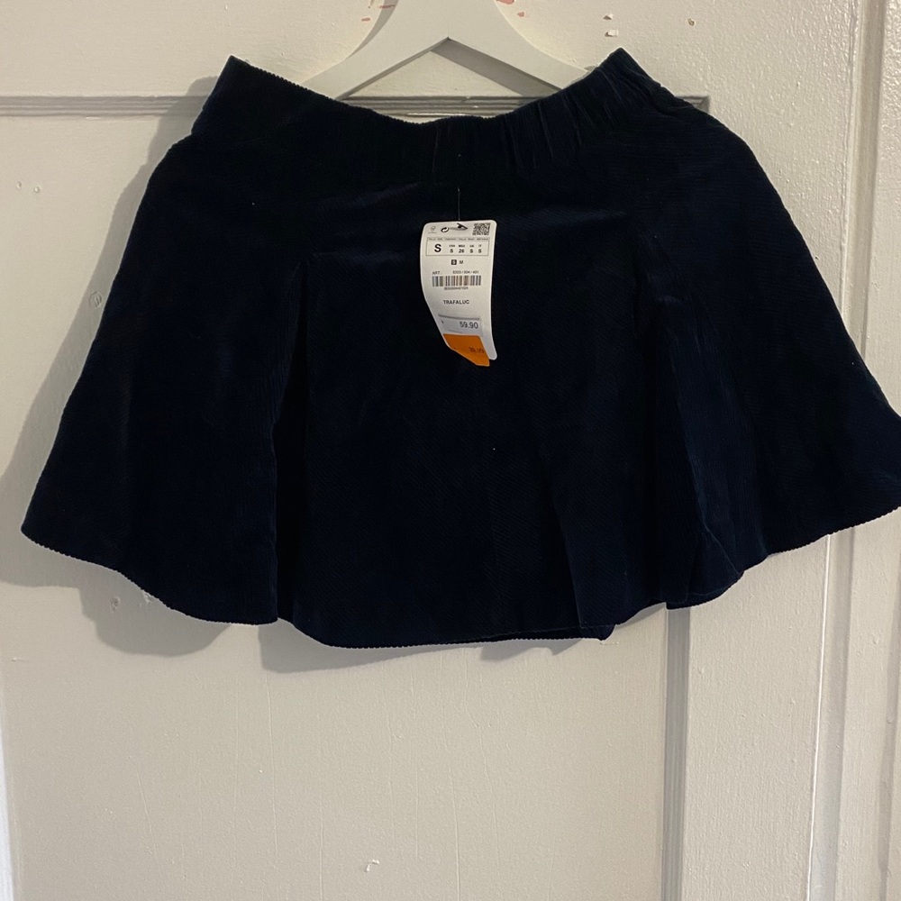 Zara Skater skirt